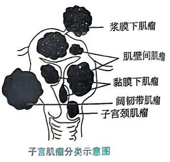 image-20250817205104752