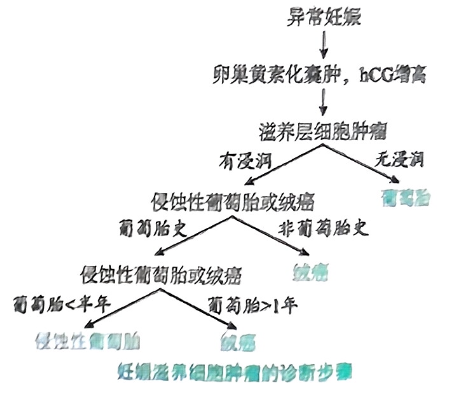 image-20250818082639811