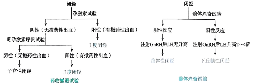 image-20250818112152753