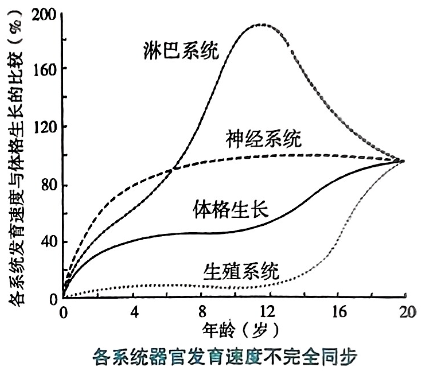 image-20250818121126442