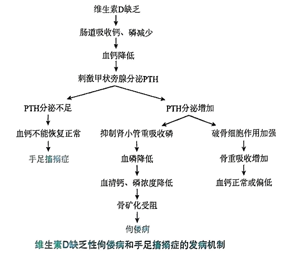 image-20250818170214766