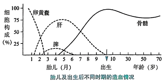 image-20250819214944618