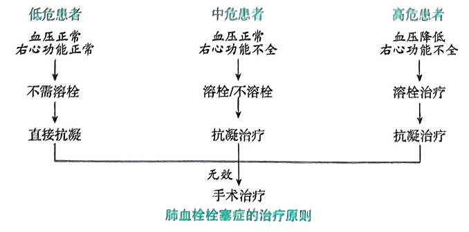 image-20250821165206951