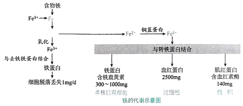 image-20250821211512582