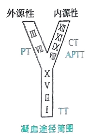 image-20250821224614606