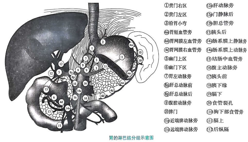 image-20250822145836329
