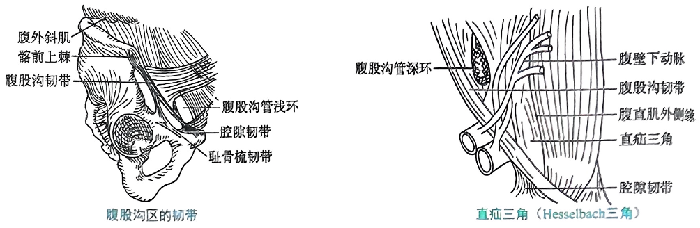 image-20250822162409835