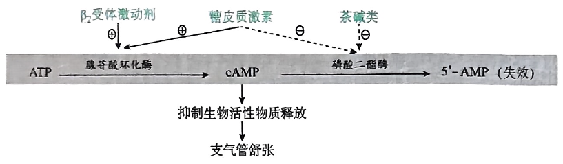 image-20250822181110760
