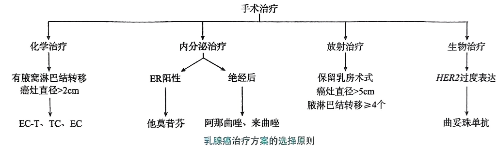image-20250822182946885