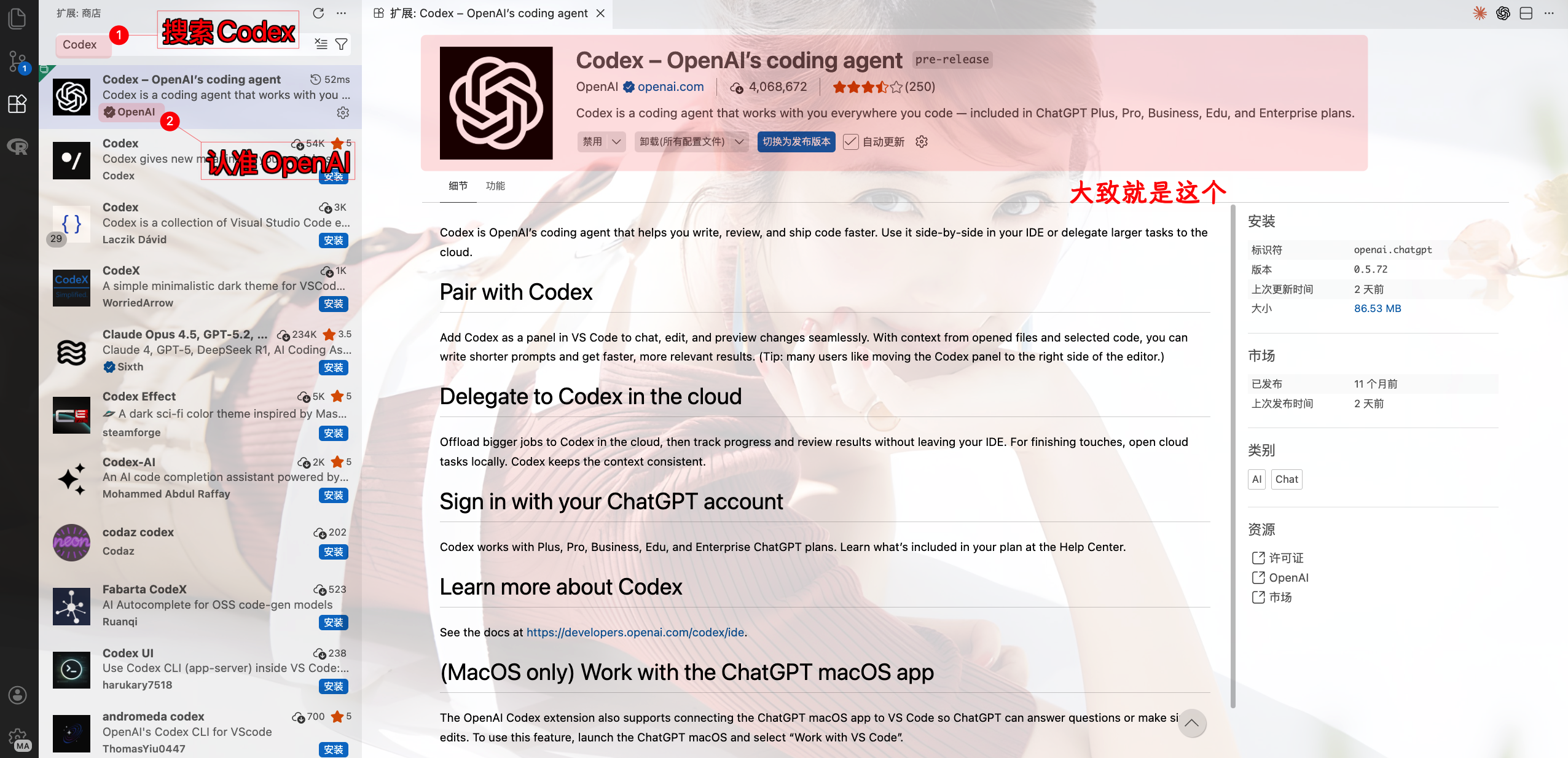 image-20260209113346812